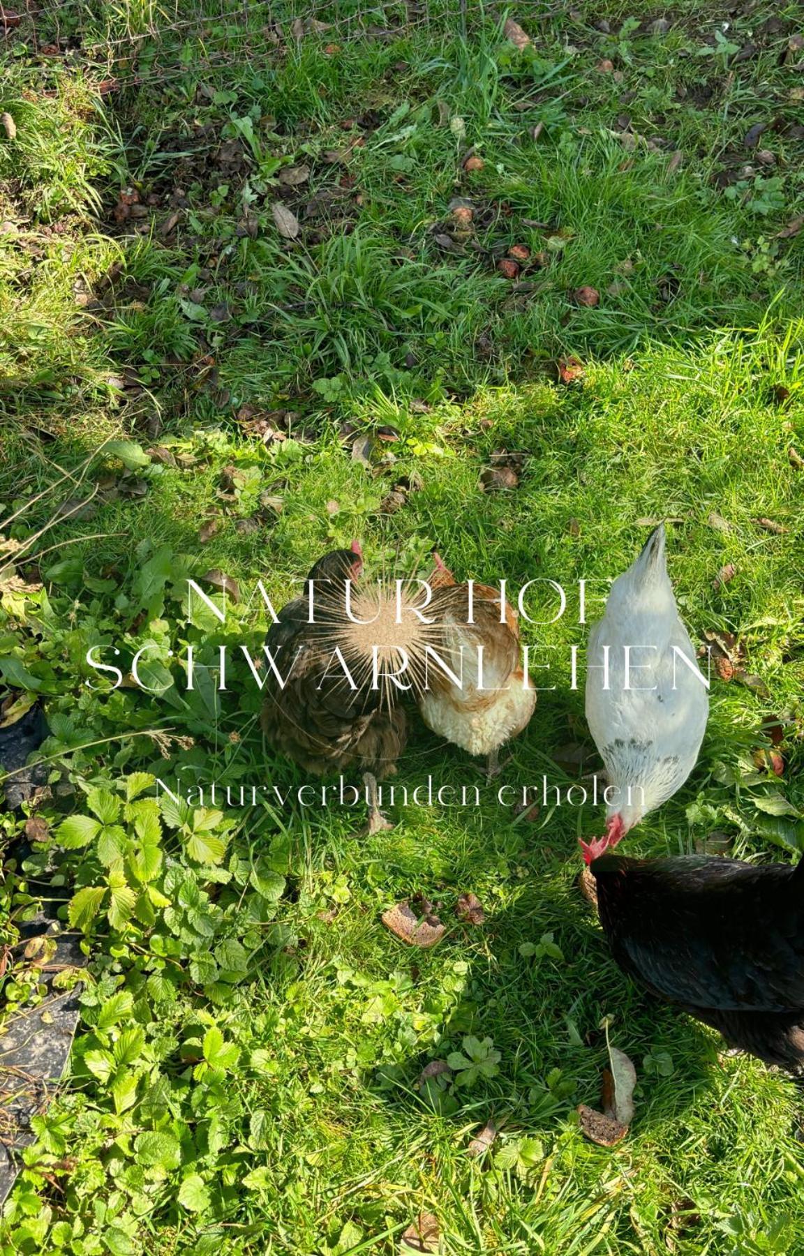 Natur Hof Schwarnlehen เบิร์ชเทสกาเดน ภายนอก รูปภาพ